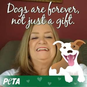 Meet your Posher, Sandy